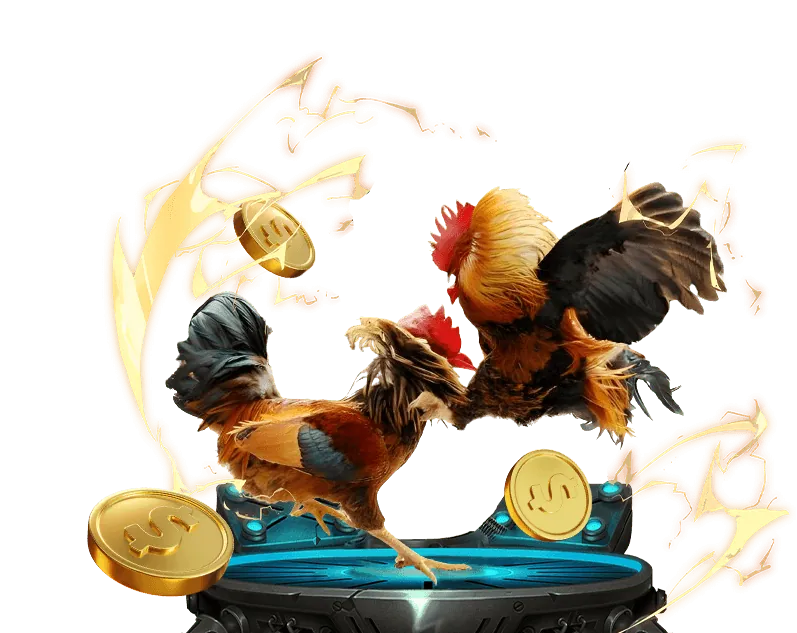 Giới thiệu về 11win login